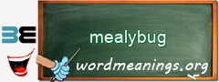 WordMeaning blackboard for mealybug